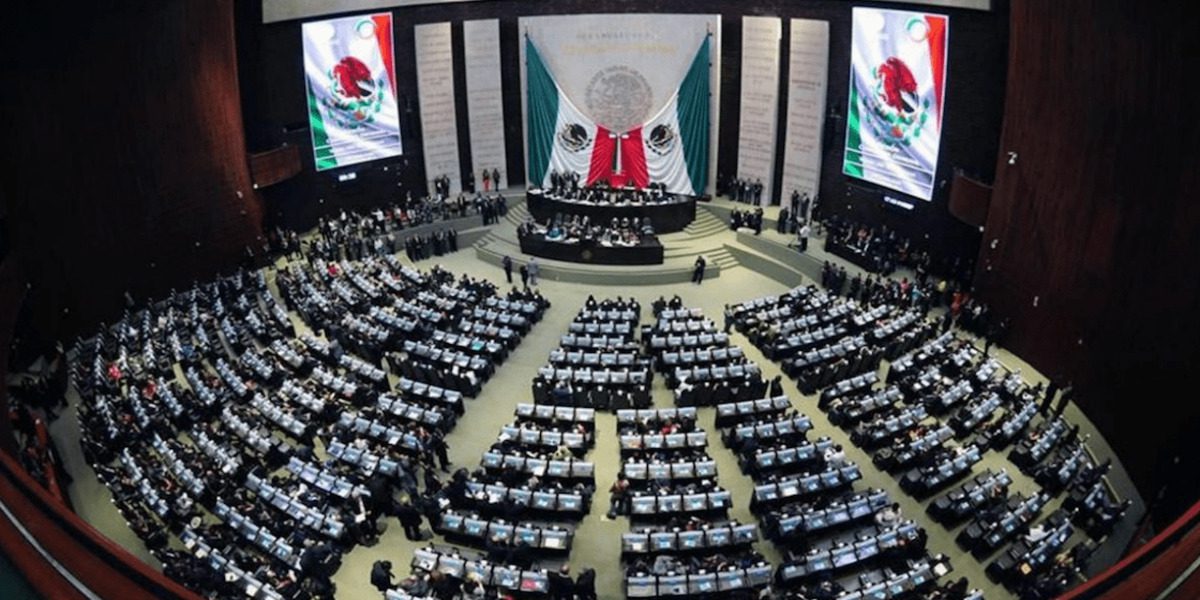 Casi todos los diputados federales buscarán reelección en 2021