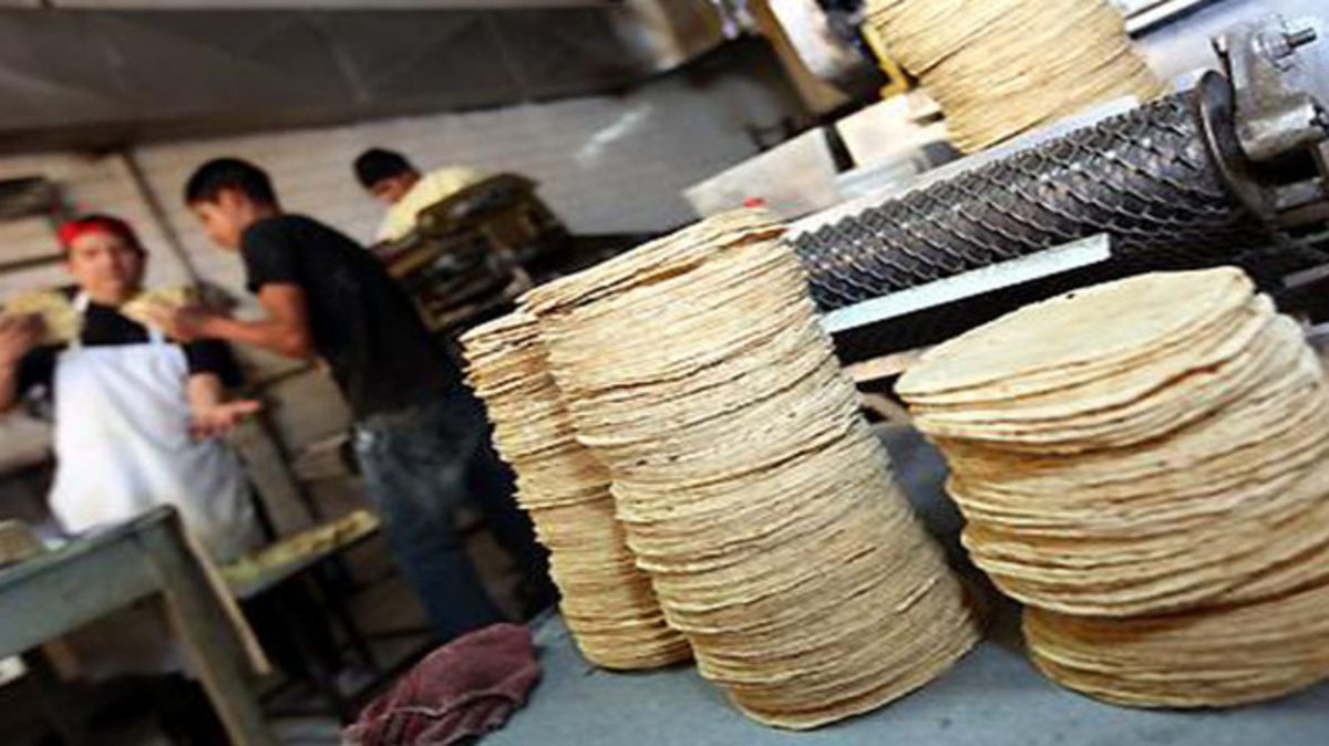 Comienzan los aumentos en el kilogramo de tortilla