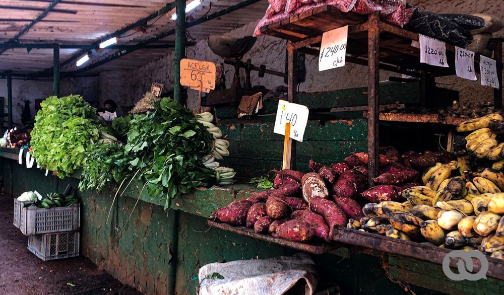 Con la realidad (el mercado) topamos…