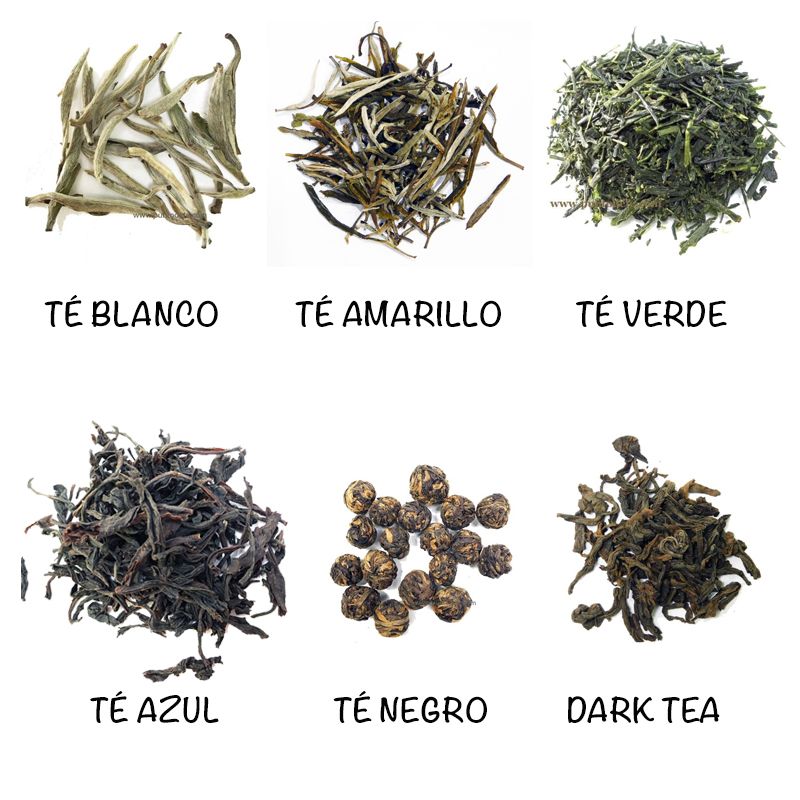 ¿Cuáles son los tipos de té para la temporada y sus beneficios?