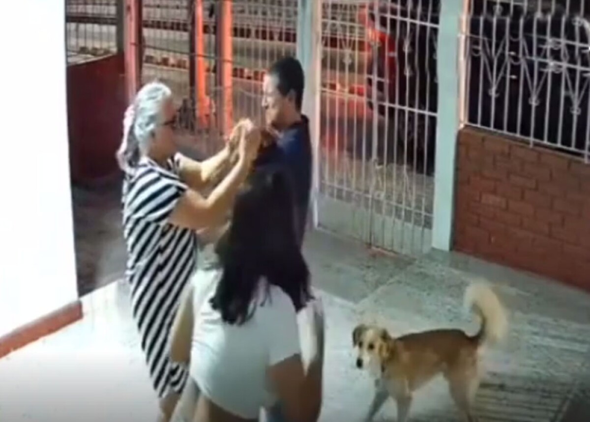 Desamparado recupera a su perro después de días llorando por su pérdida