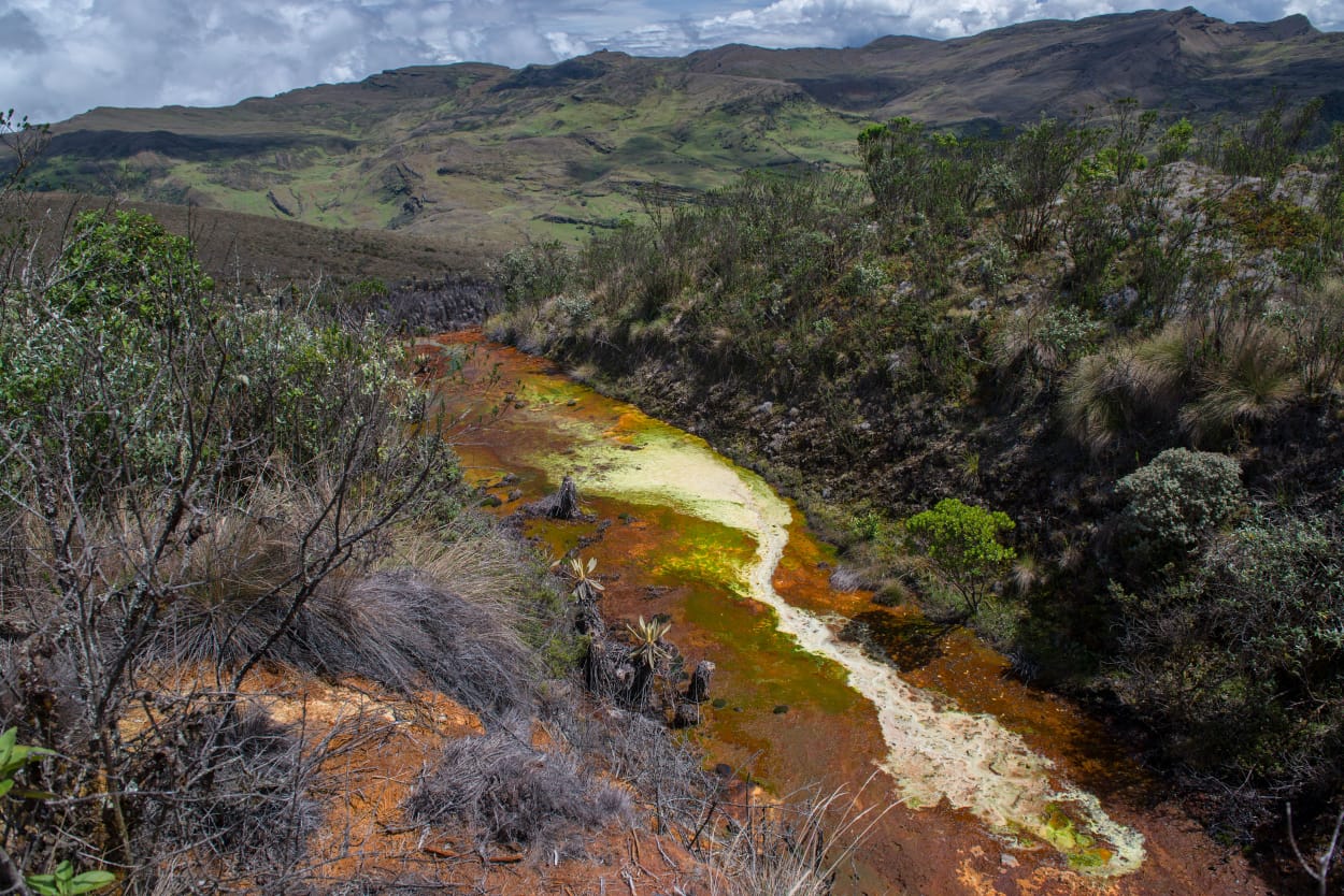 “Desde mañana la Tierra opera con sobregiro medioambiental”: Greenpeace y el día que marca el fin de los recursos naturales