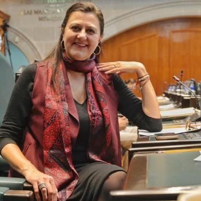 Diputada Mónica Álvarez Nemer de Morena da positivo a prueba de Covid-19