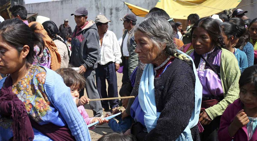 Diputados de Morena 'borran' apoyo para abuelitos de Chiapas