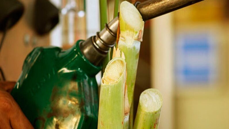 Dos millones de litros de etanol diarios aspira producir Bolivia