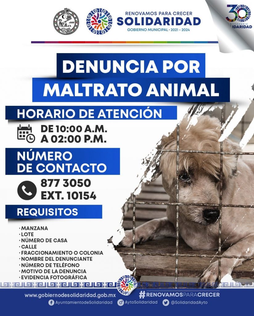 El maltrato animal no tiene castigo en México