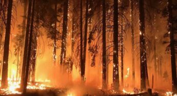 Esperan controlar incendios en California antes de Navidad