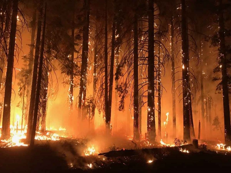 Esperan controlar incendios en California antes de Navidad