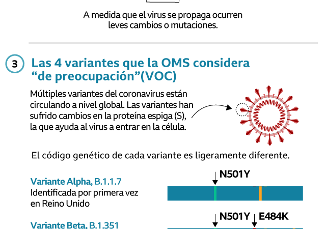 Estas son las variantes de COVID-19 que tienen en alerta a los expertos