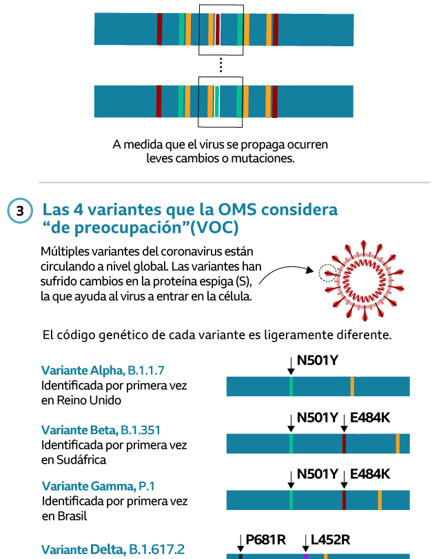 Estas son las variantes de COVID 19 que tienen en alerta a los expertos |