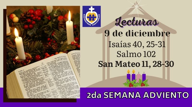 Hoy miércoles 9 de diciembre