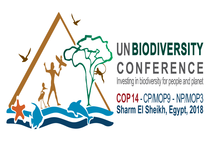 Inaugurada conferencia mundial de Naciones Unidas sobre Biodiversidad en Egipto