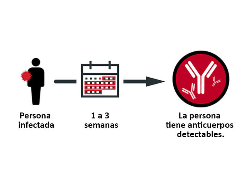 Inmunidad por Covid puede darse tras infección, pero puede propagarse: estudios