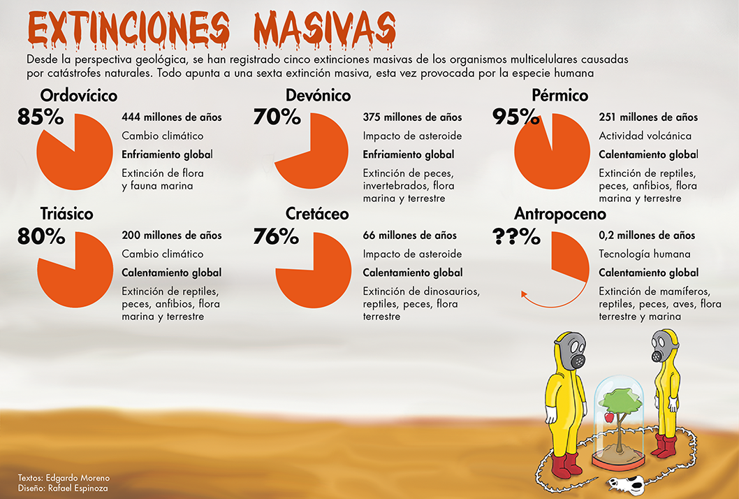 La sexta extinción masiva de especies en el planeta es causada por el hombre