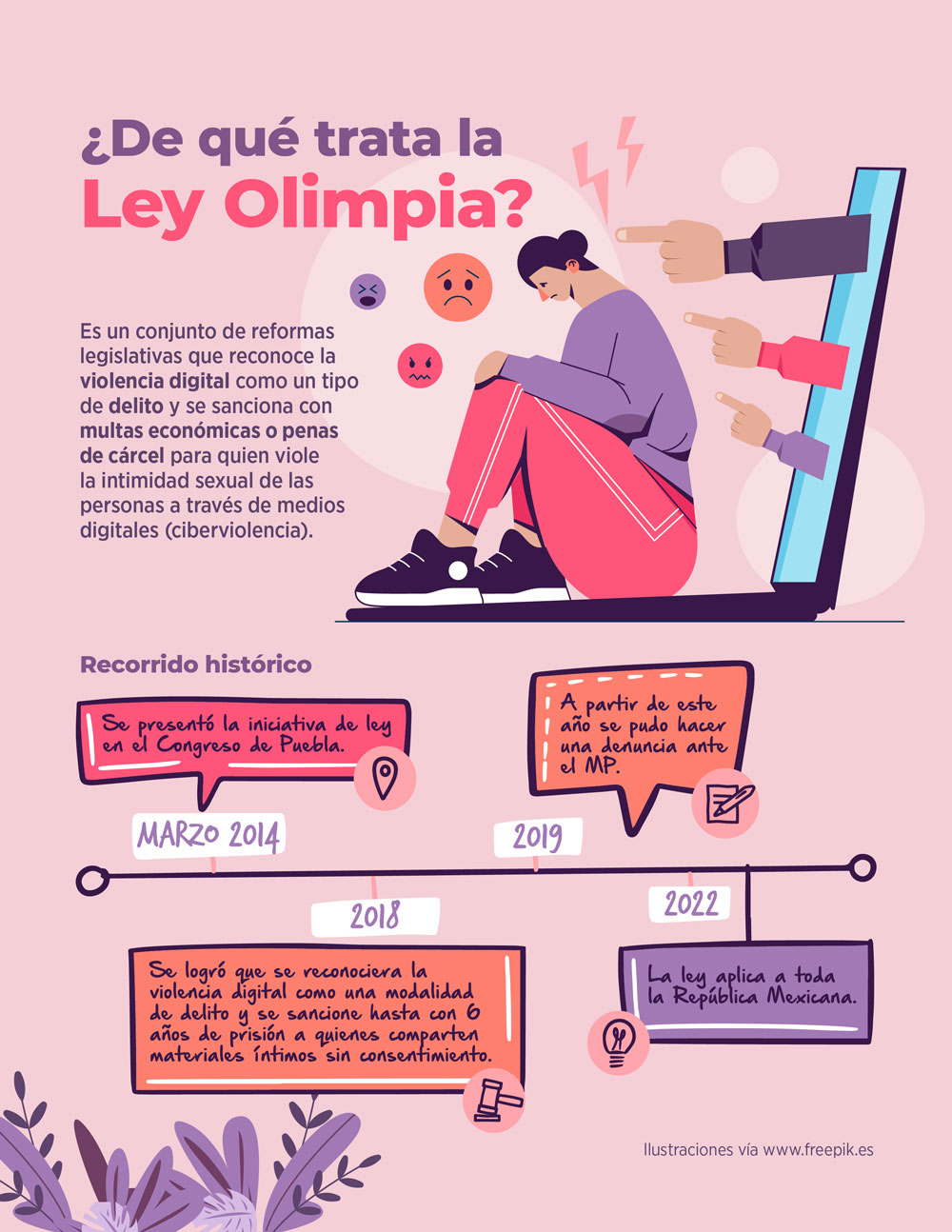 Ley Olimpia y Violencia Digital