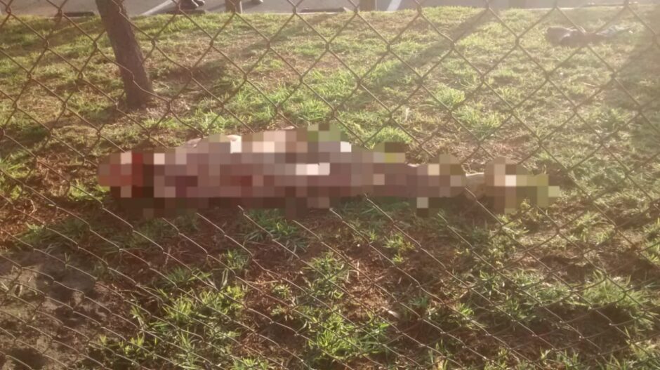 Localizan cadáver desnudo con heridas aparentemente causadas por un animal en Valle de Chalco Solidaridad