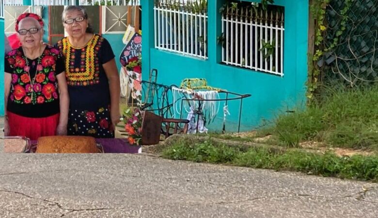 Madre e hija se impactan con una palmera en Insurgentes Norte