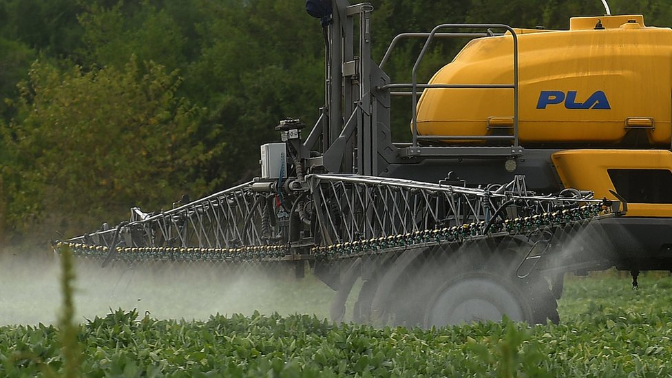 Organizaciones sociales y medioambientales piden al SAG la prohibición del glifosato en Chile