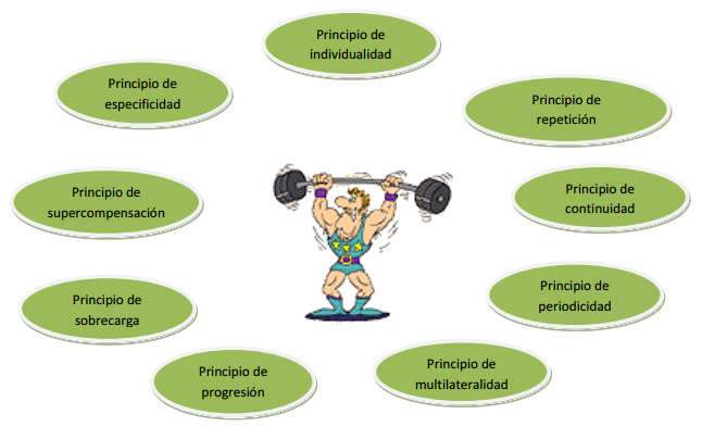 Principios fundamentales del entrenamiento deportivo: Individualización y sobrecarga