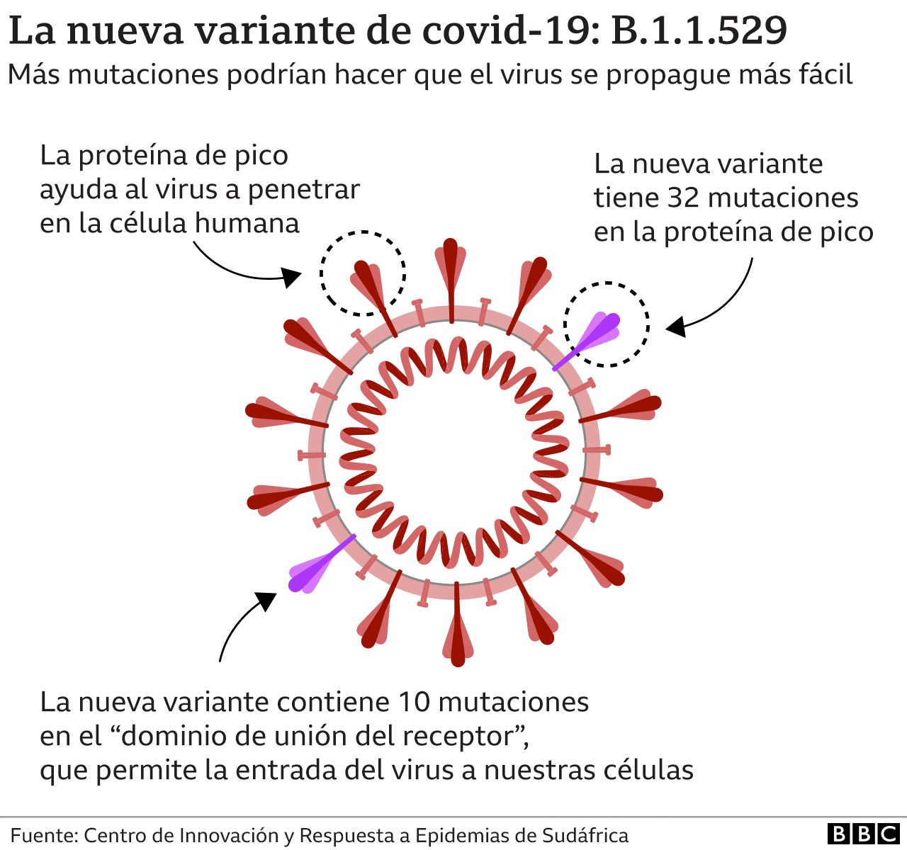 ¿Qué implica el descubrimiento de una nueva variante del coronavirus?