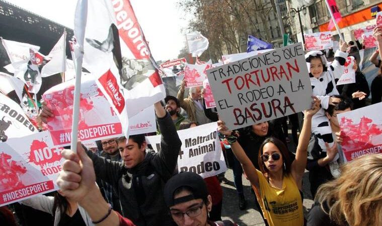 Quinta Marcha Nacional contra el Rodeo reunió a más de 5 mil personas en Santiago