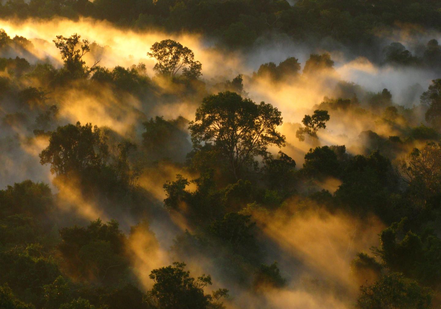 SE DEBE ABORDAR DE MANERA GLOBAL LAS CRISIS DEL CLIMA Y LA BIODIVERSIDAD