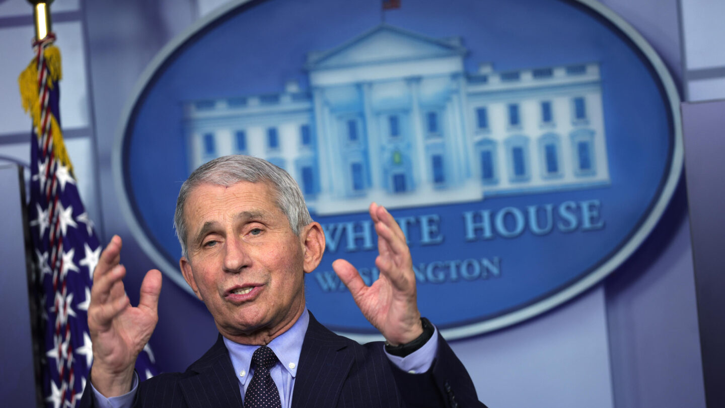 Segunda semana de la administración Biden Harris y medio millón de muertes por covid 19 |