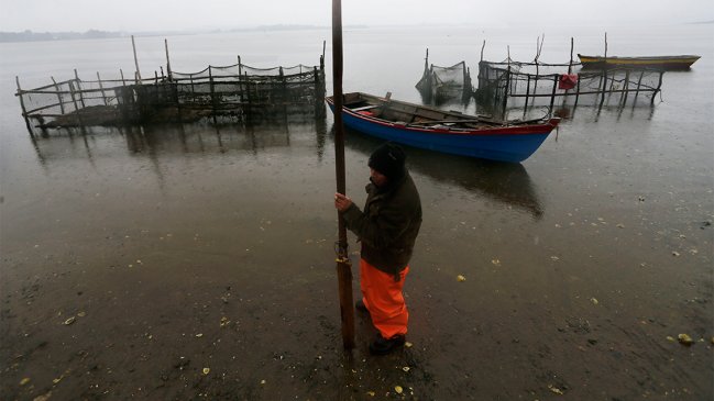 Servicio de Evaluación Ambiental del Biobío recomienda rechazar salmonera en Cobquecura