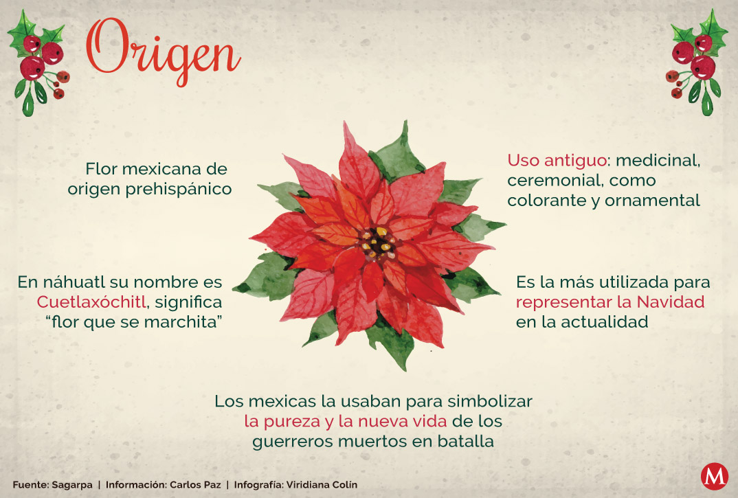 Significado de la nochebuena en la Navidad