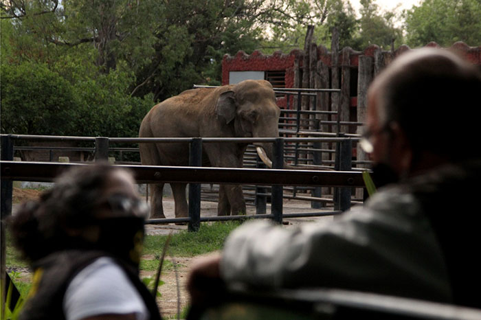 También el Zoológico de Morelia cierra sus puertas