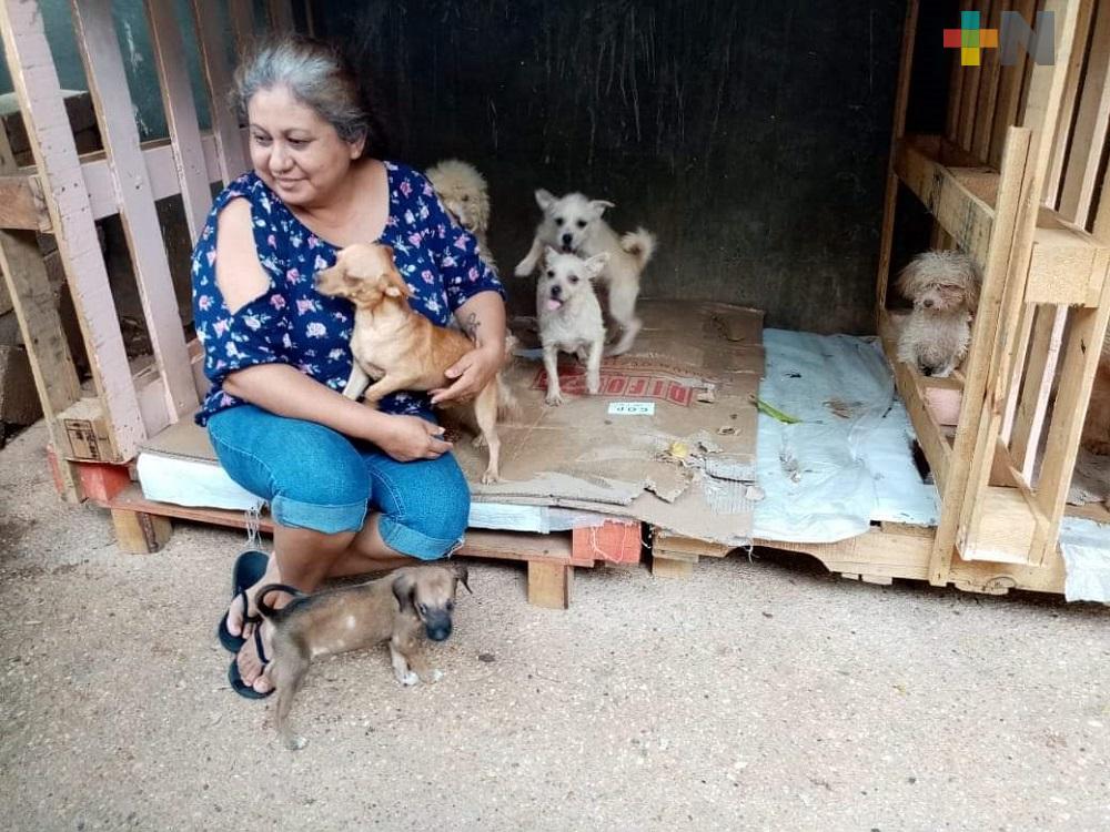 ¿Te gustaría apoyar? Albergue mexiquense solicita donativos para alimentar a sus animalitos