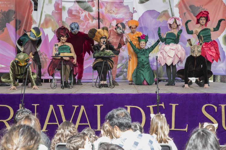 Teatro, danza y talleres: exitosa jornada de espectáculos Carnaval del Sur