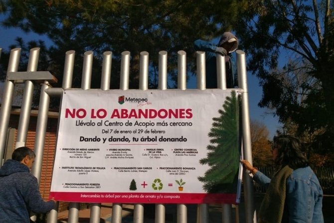 Tiene Metepec 8 centros de acopio para arboles de navidad