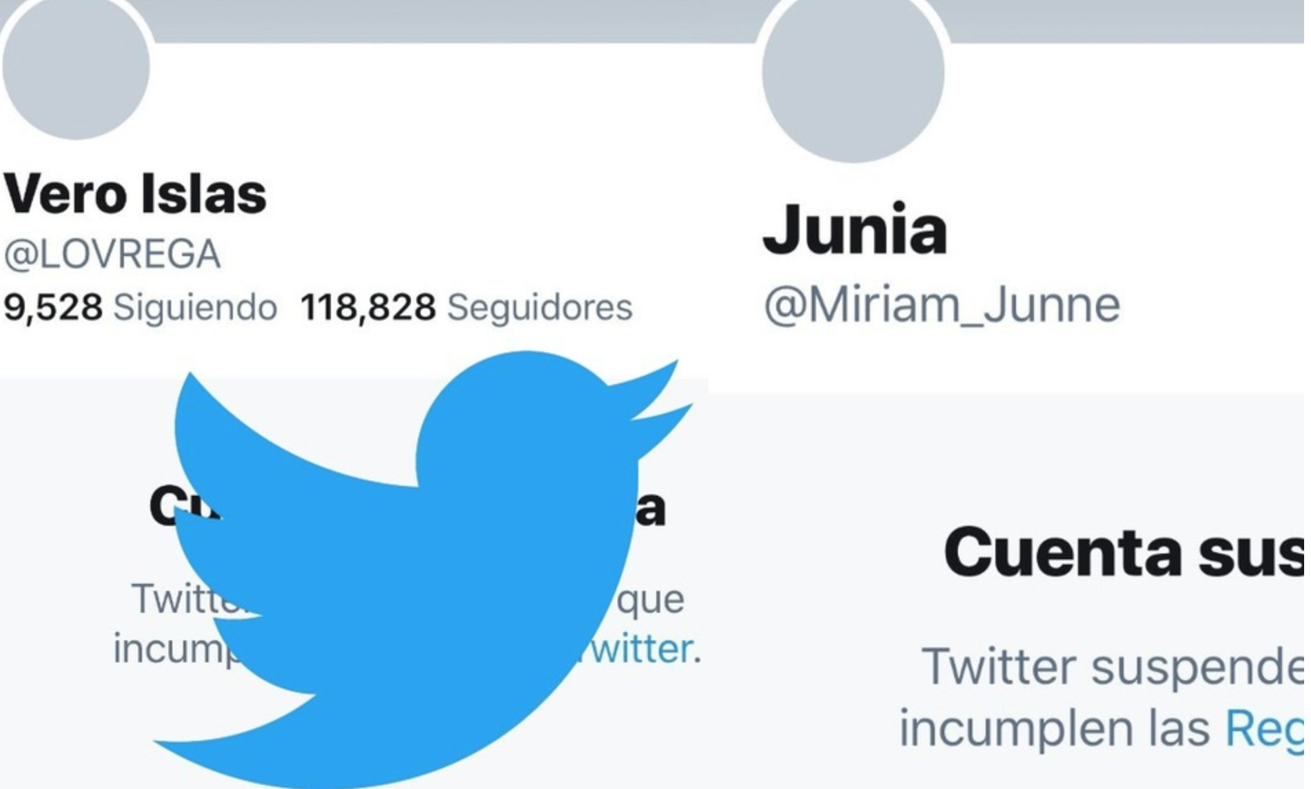 Twitter suspende cuentas a usuarios a favor de AMLO por “manipulación y spam”