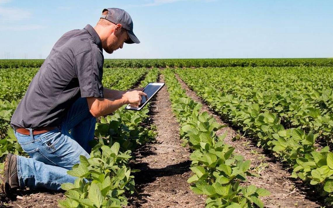 UAEM impulsará la agricultura de precisión con apoyo de satélites