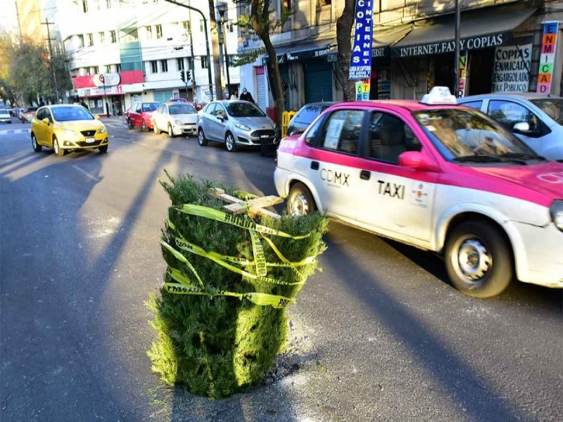 Ubica tu centro de acopio de árboles de Navidad más cercano