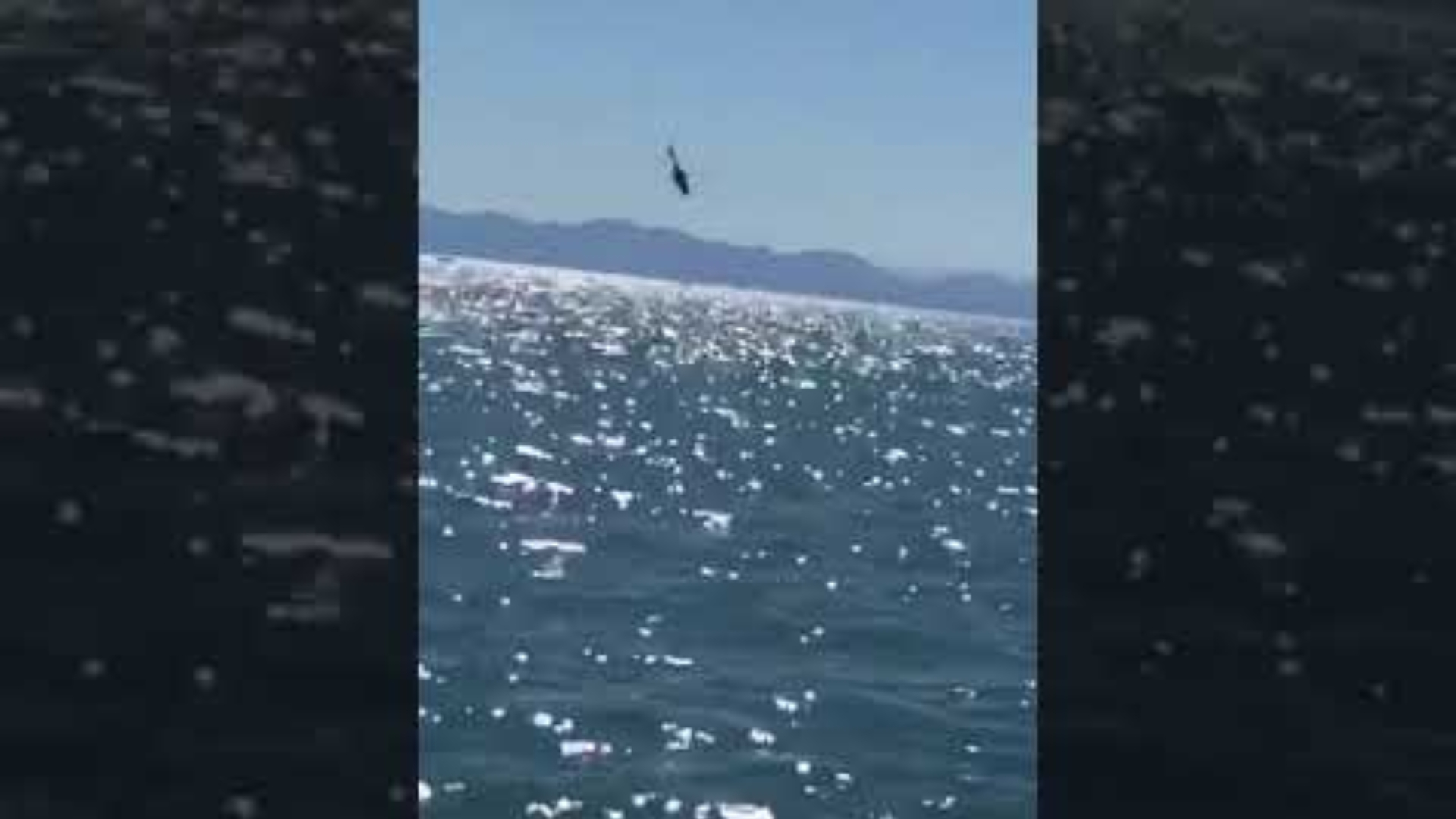 Un helicóptero de la Marina mexicana perdió el control y cayó en el mar: dos heridos y un desparecido