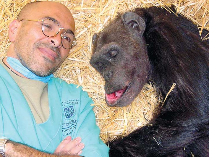 Un veterinario con mucho ‘colmillo’, dentista de gatos y hasta osos