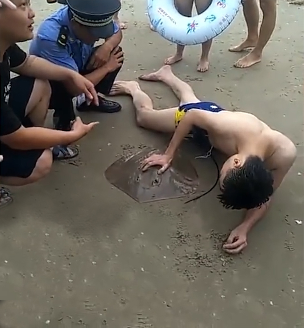 (Video) ¡Doloroso! Una raya de mar pica a un turista en sus genitales