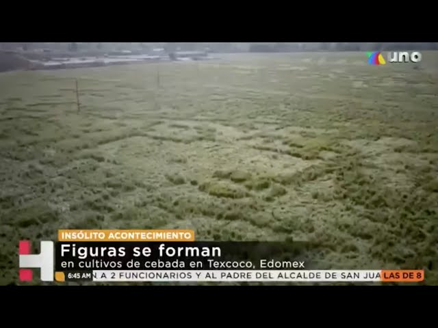 Video: Productores descartan señales alienígenas en campos de Texcoco