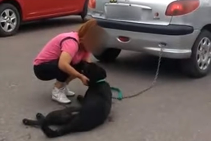 VIDEO | ¡Qué crueldad! Mujer amarra a su perro al carro y lo arrastra