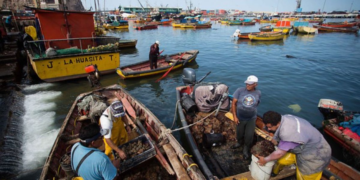 Y ese mar que tranquilo te baña: La anulación de la “Ley de Pesca” que nunca se concretó