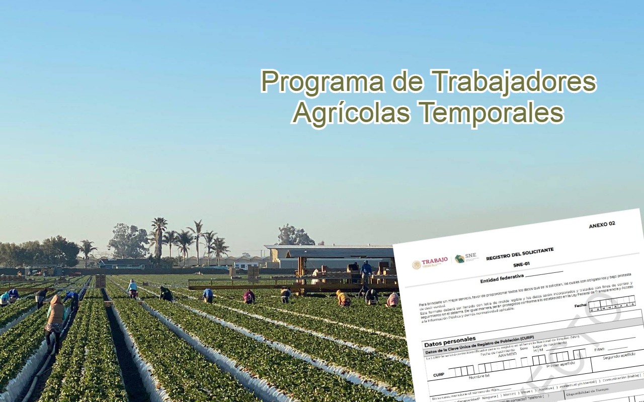 6 consejos para obtener una visa de trabajo agrícola en Canadá