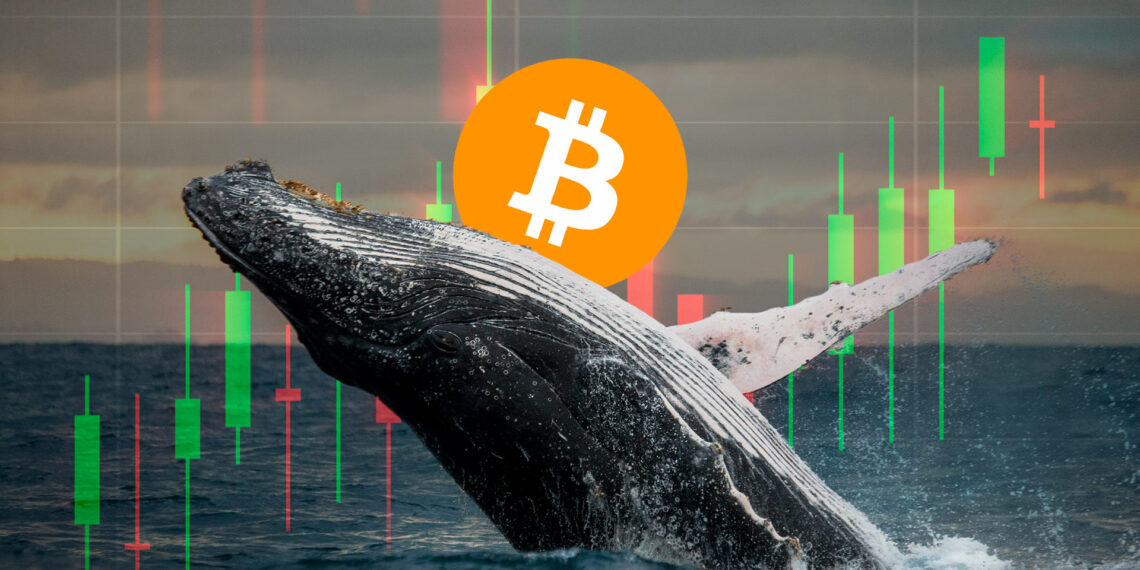 Ballenas de Bitcoin y Ethereum se preparan para próxima subida de precios, según reporte