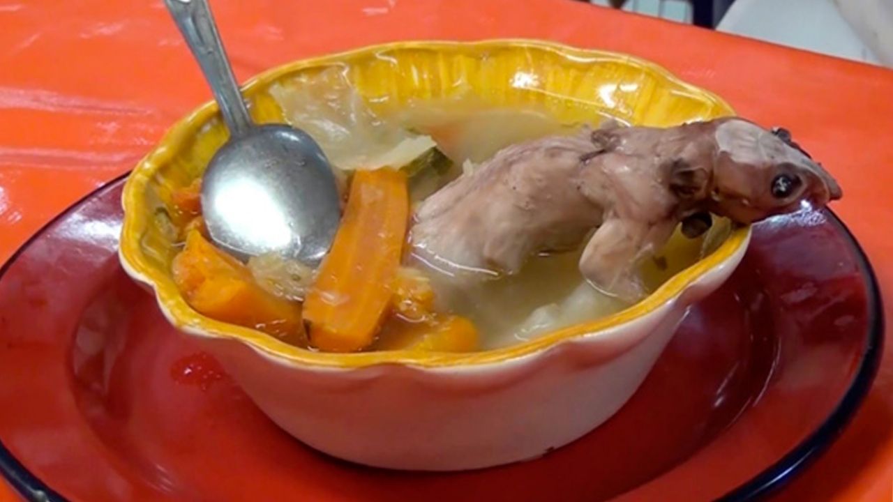 Caldo de rata zacatecano, el platillo exótico que te ayuda con tu salud