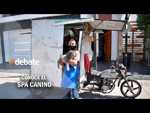 Construyen spa canino con ingenio, chatarra y videos de YouTube