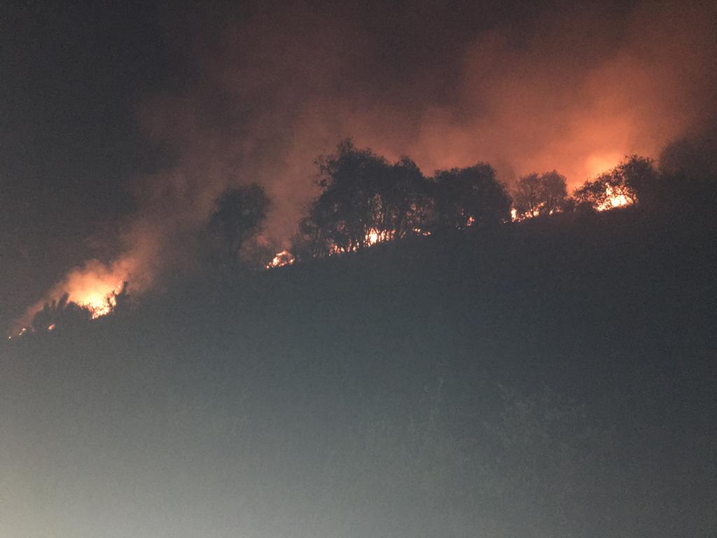 Controlaron incendio en Nevado de Toluca