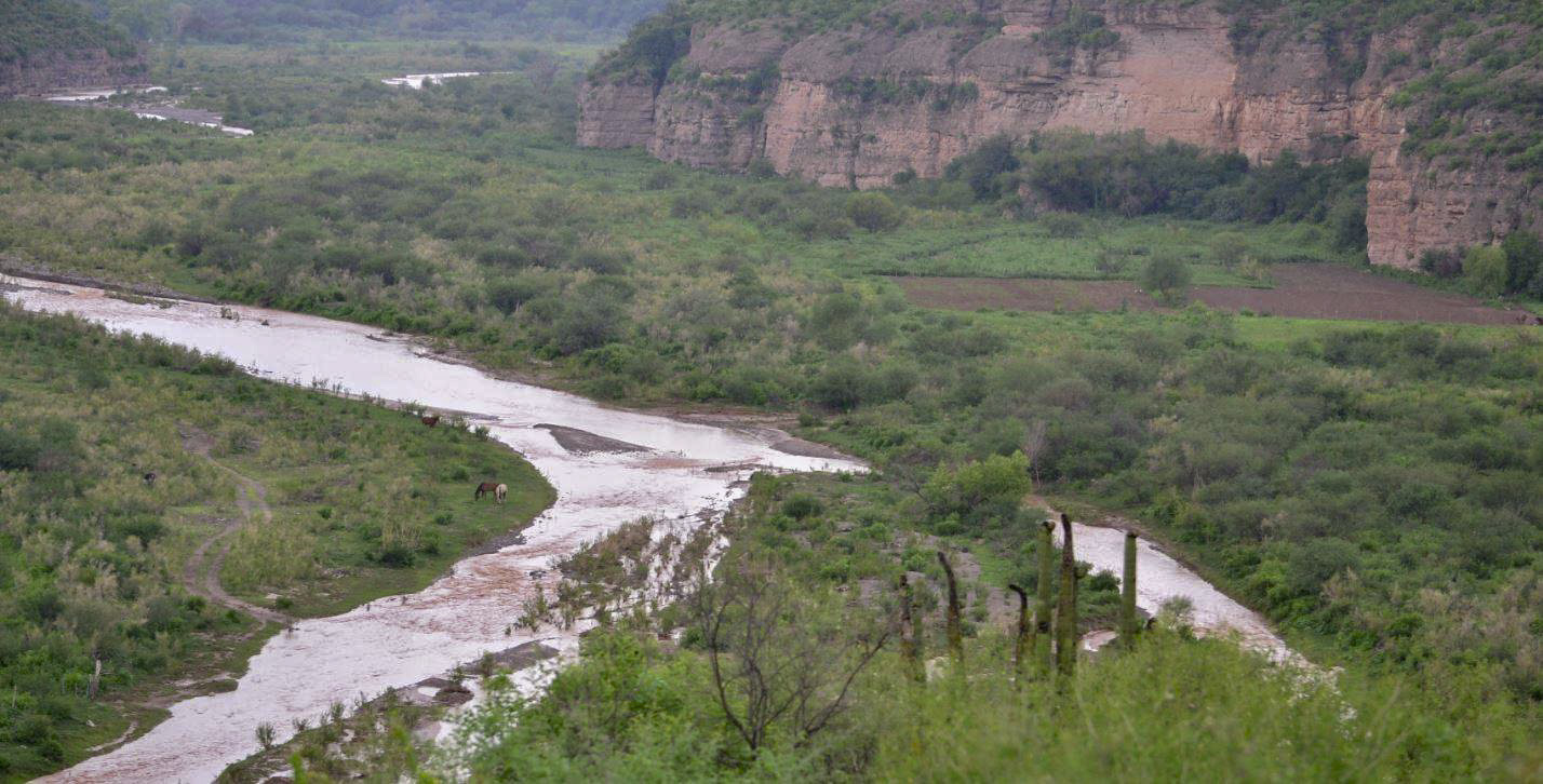 Derrame de minera en el río Sonora: uno de los mayores desastres ecológicos de México y riesgo para la salud de miles de familias