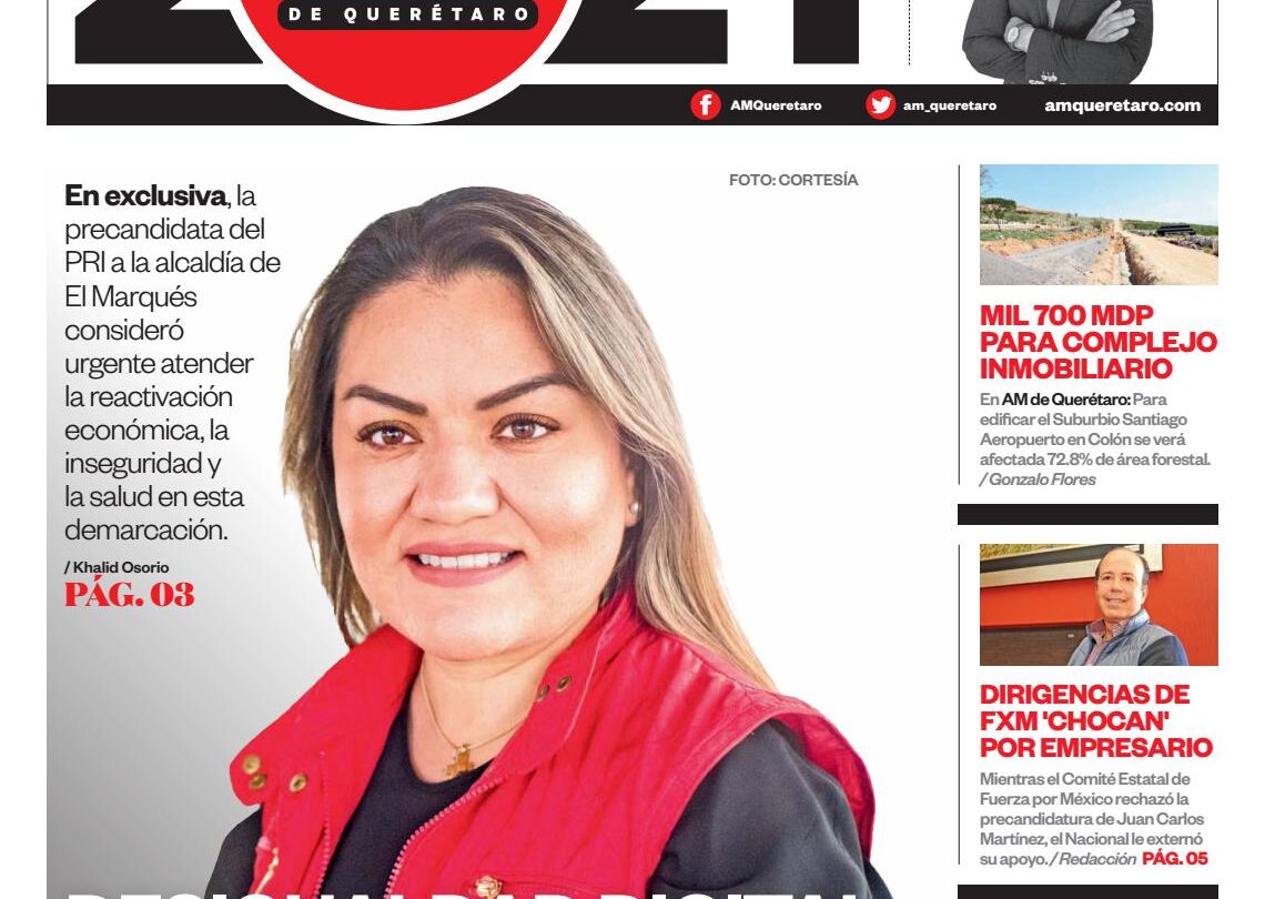Desigualdad digital condicionará el proceso electoral en Querétaro Lupita Cárdenas |