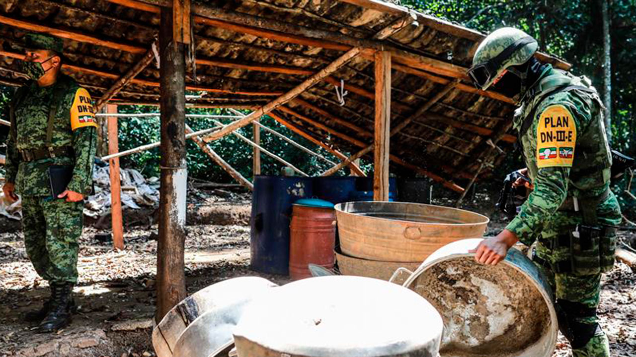 Destruyen el primer plantío de cocaína y un laboratorio en el estado de Guerrero